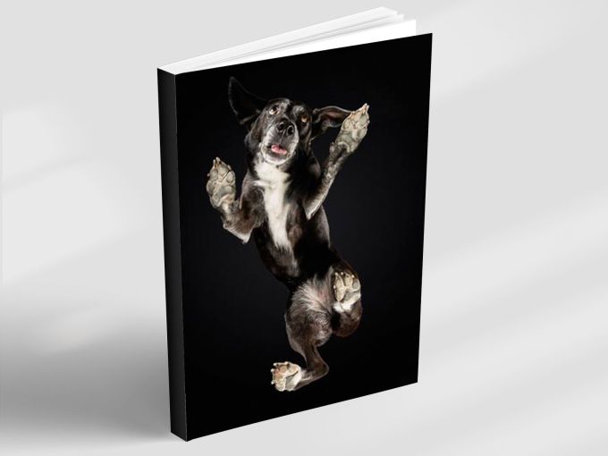 Night & Day - Notebook