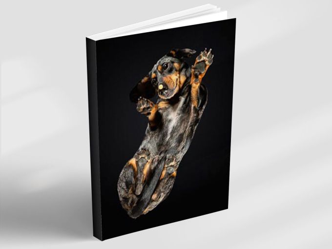 Copper Twist - Notebook