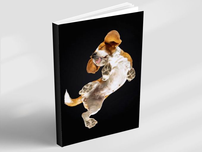 Notebook - My favourite motif