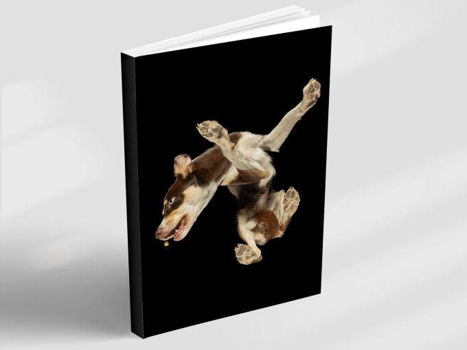 Cozy Comfort - Notebook