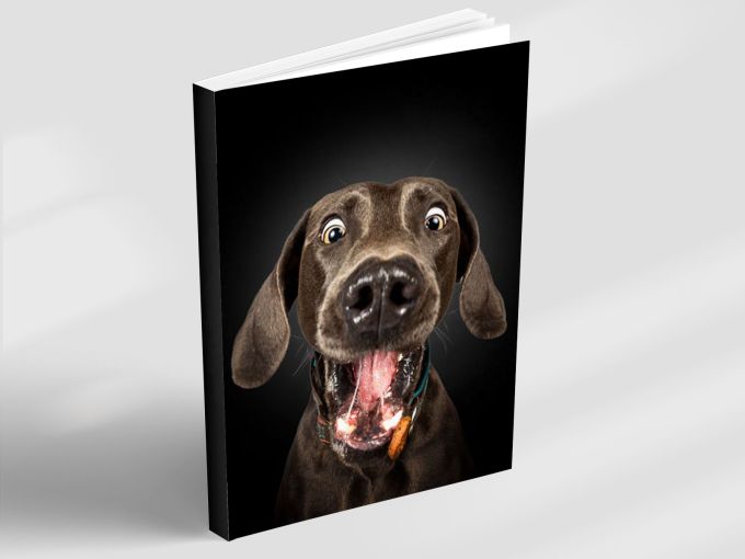 Hungry Eyes - Notebook