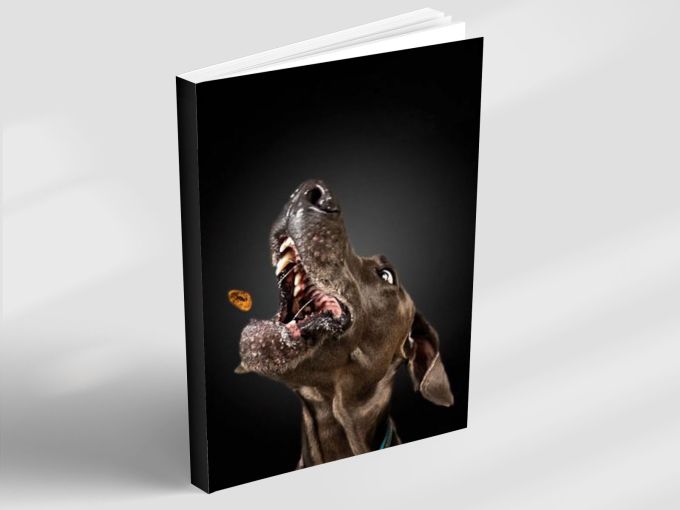 Catch & Joy - Notebook