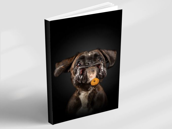 Golden Moment - Notebook