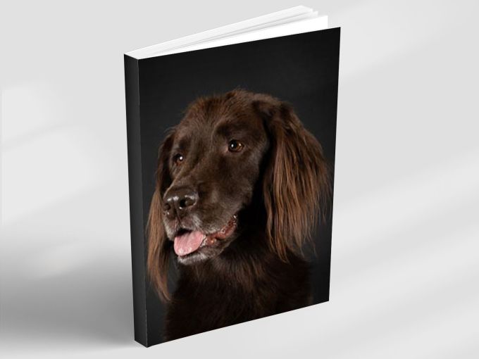 Amber Eyes - Notebook