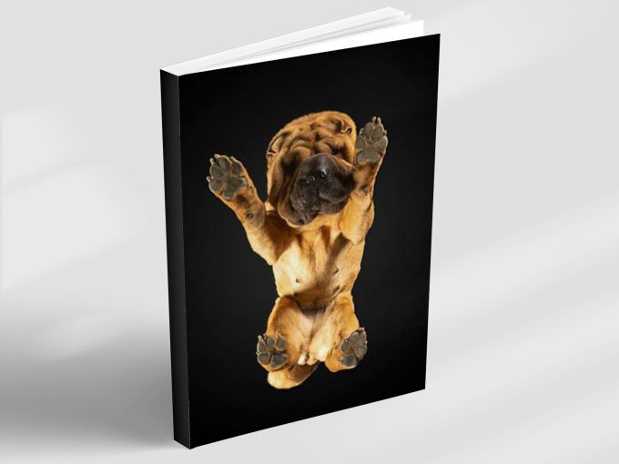 Bright Smile - Notebook