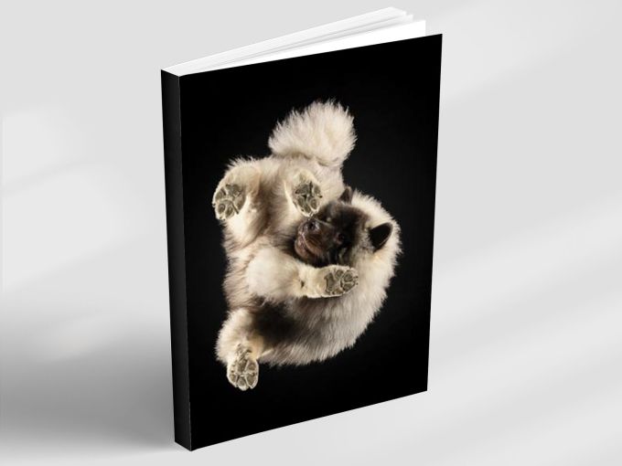 Fluffy Reflection - Notebook