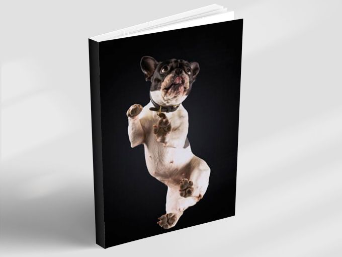 Tuxedo Mirror - Notebook