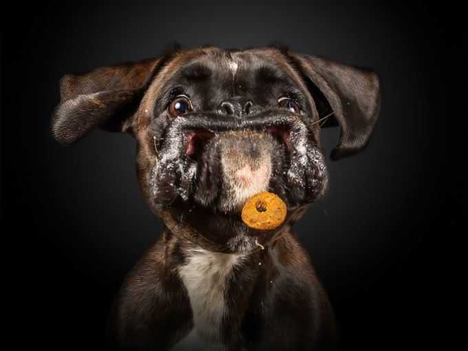 Ticket Photo Event Antwerpen