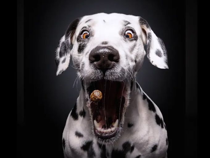 Ticket Photo Event Antwerpen