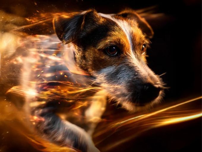 Gutschein Elemental Magic :: Fire & Water