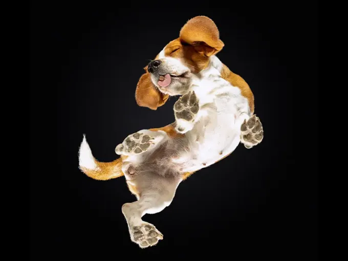 Ticket Photo Event Antwerpen