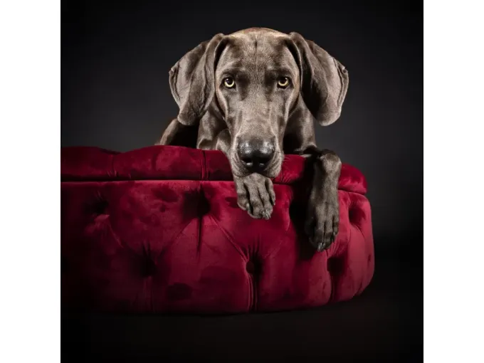 Ticket Photo Event Luxembourg