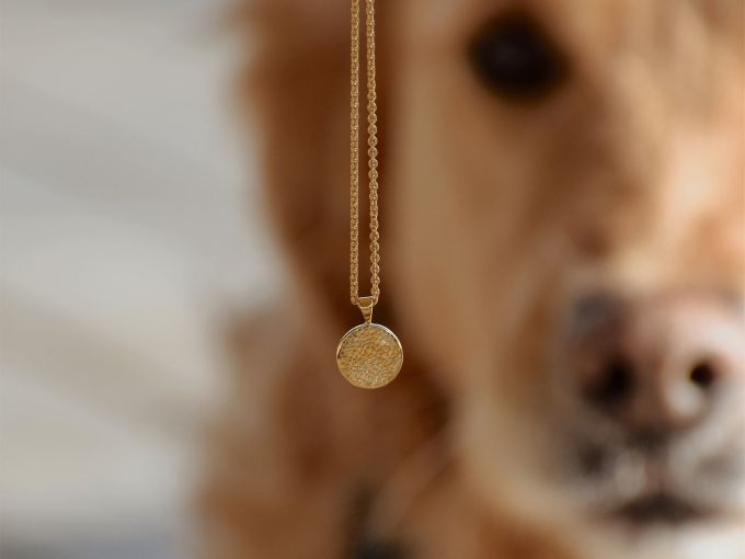 Eternal Bond - Golden Whisper of Love