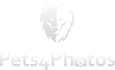 pets4.photos