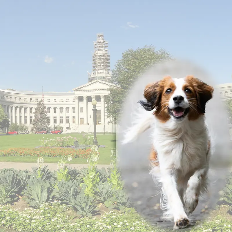 All in one Fotoevent Denver